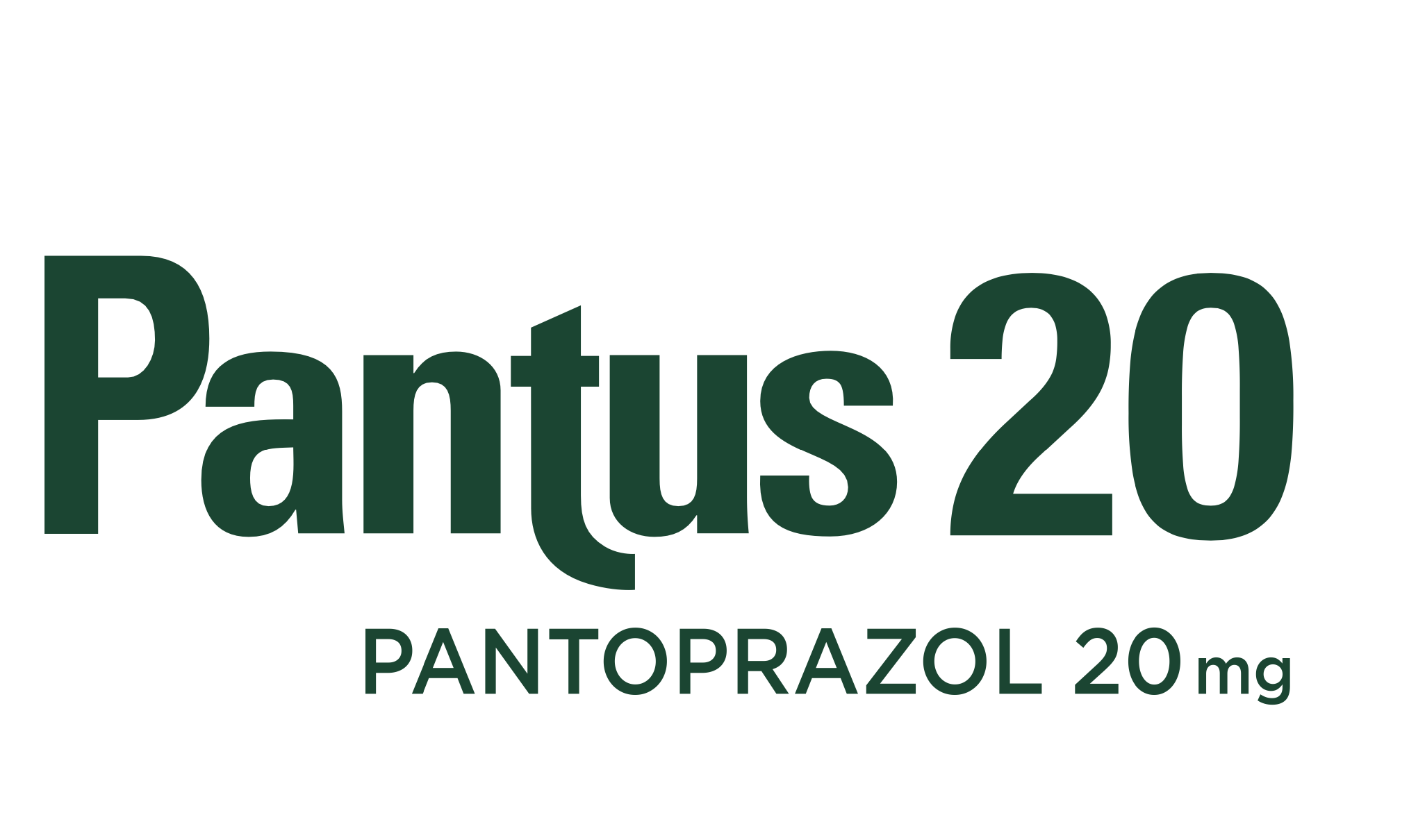 Pantus